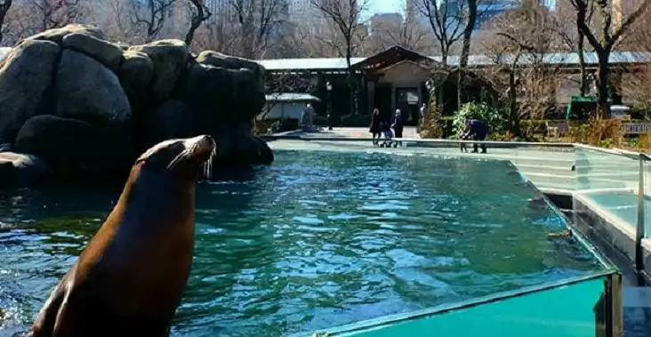 Central Park Zoo