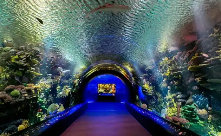 Coney Island Aquarium