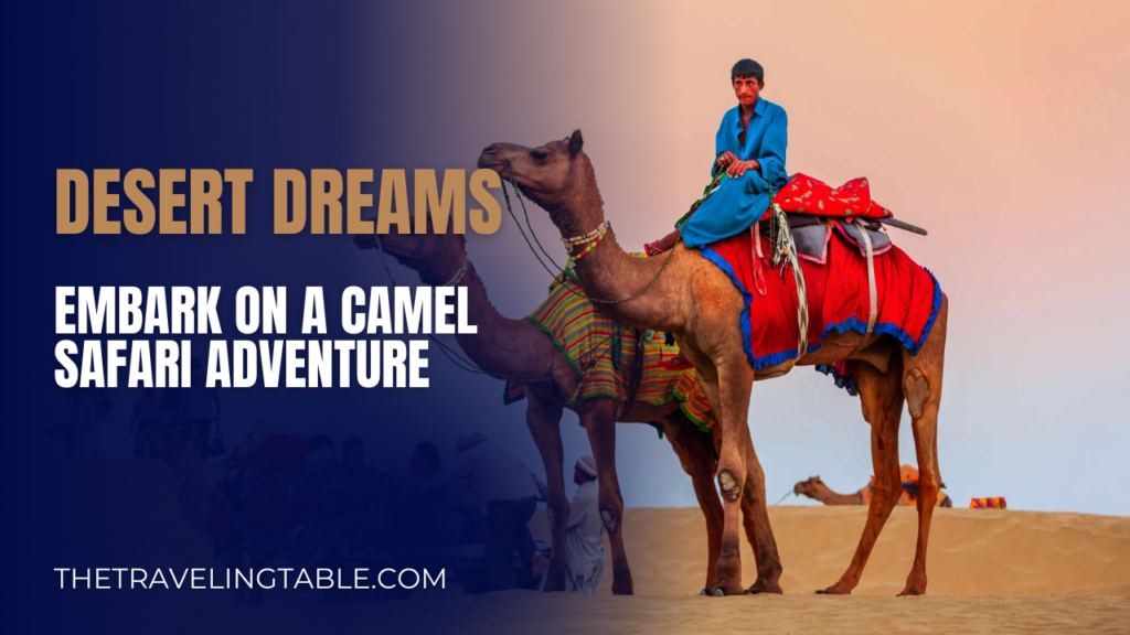 Best Destinations for Camel Safaris
