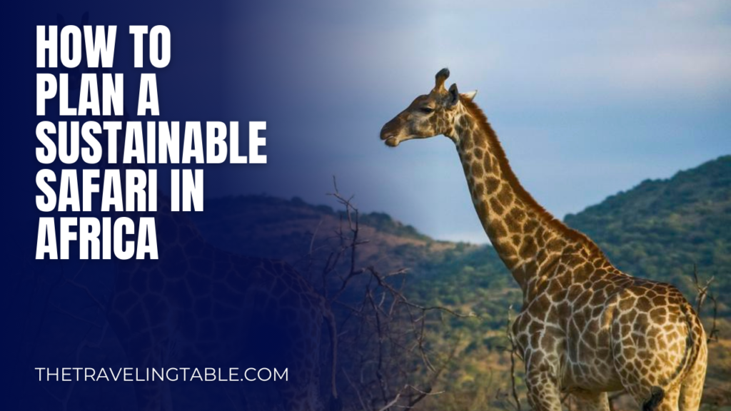 How to Plan a Sustainable Safari in Africa