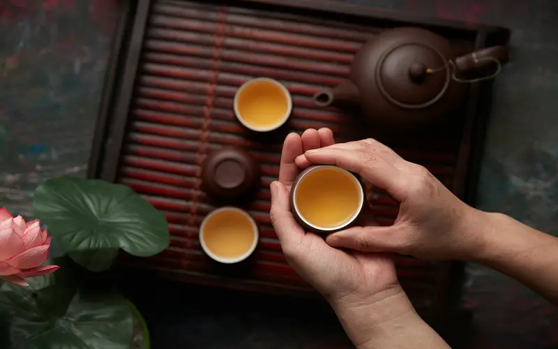 Presenting Traditional Tea Ceremonies in Japan